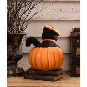 Kitty Cat in Jack - Halloween