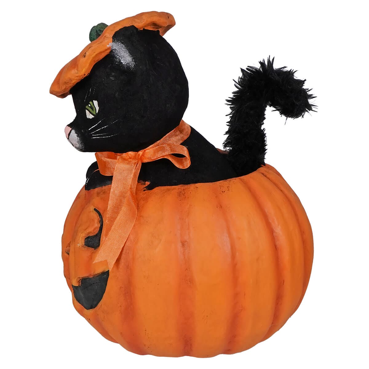 Kitty Cat in Jack - Halloween