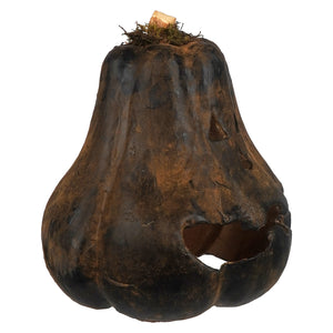 Large carved black gourd jack-o-lantern showing dark brown weathered surface with rough texture and natural stem remnant