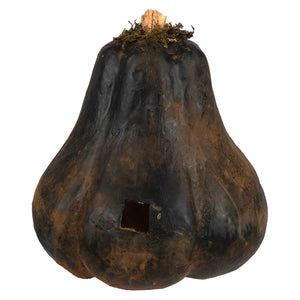 Large carved black gourd jack o lantern with dark weathered matte finish and square cutout near the base