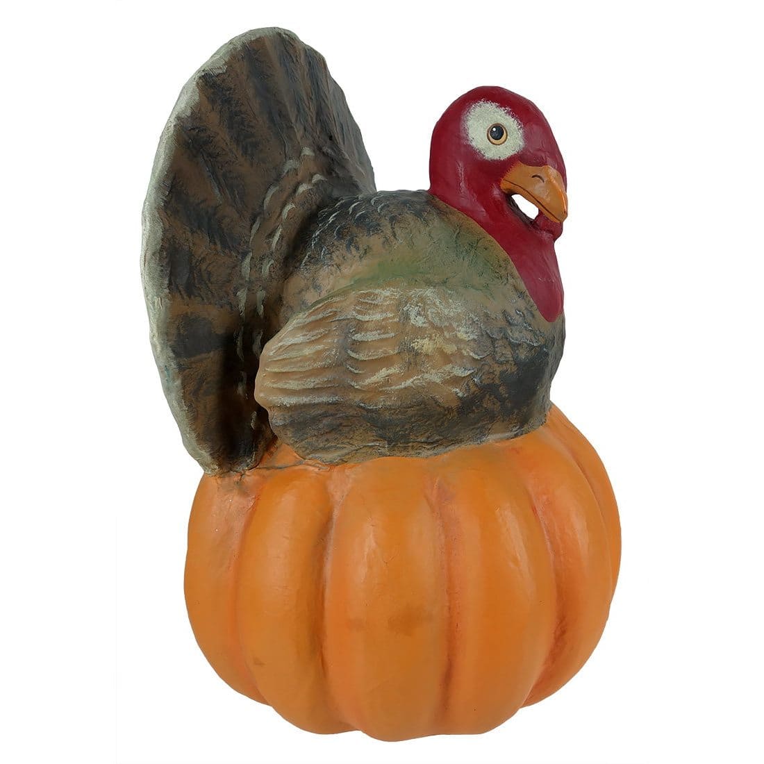 Large Turkey on Pumpkin