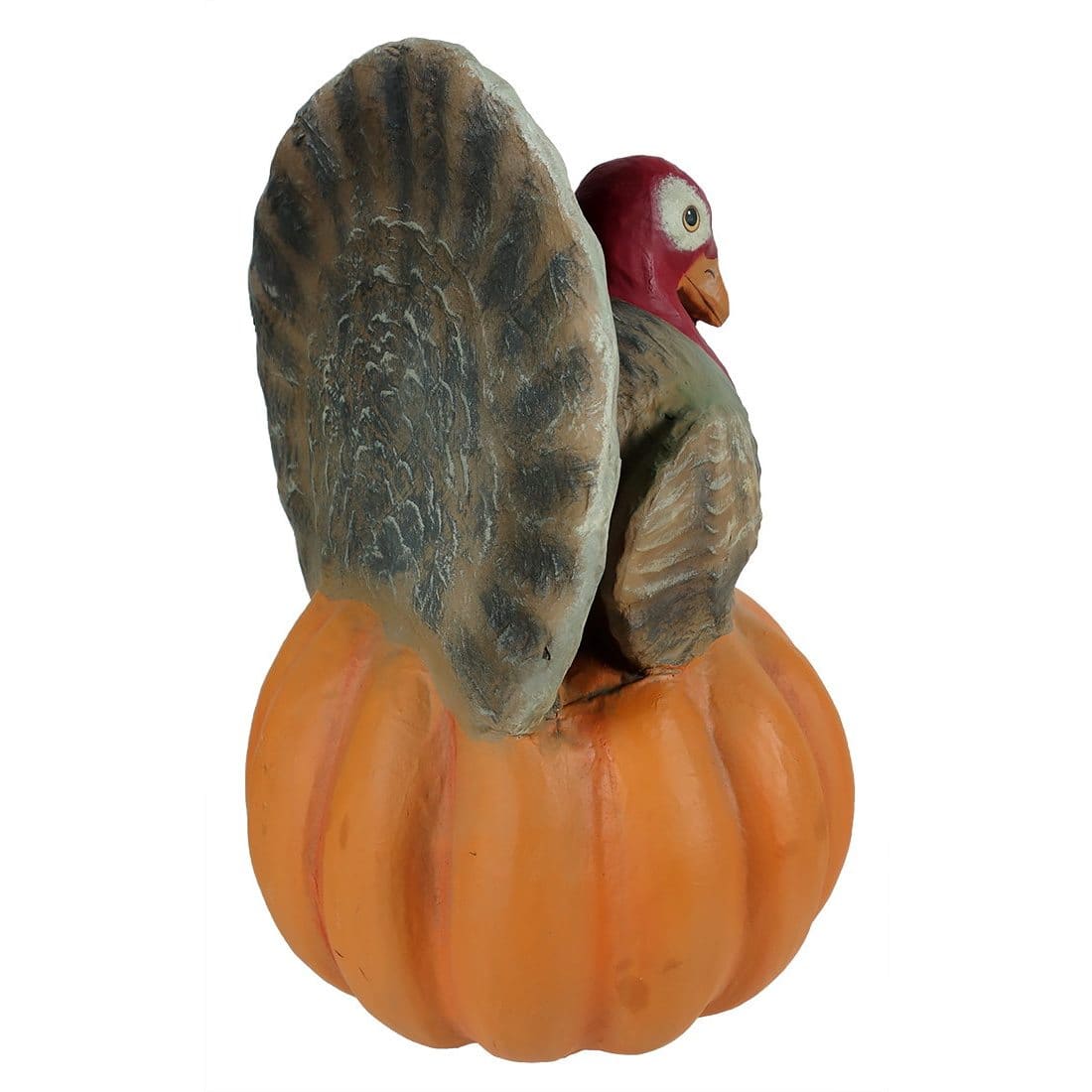 Large Turkey on Pumpkin