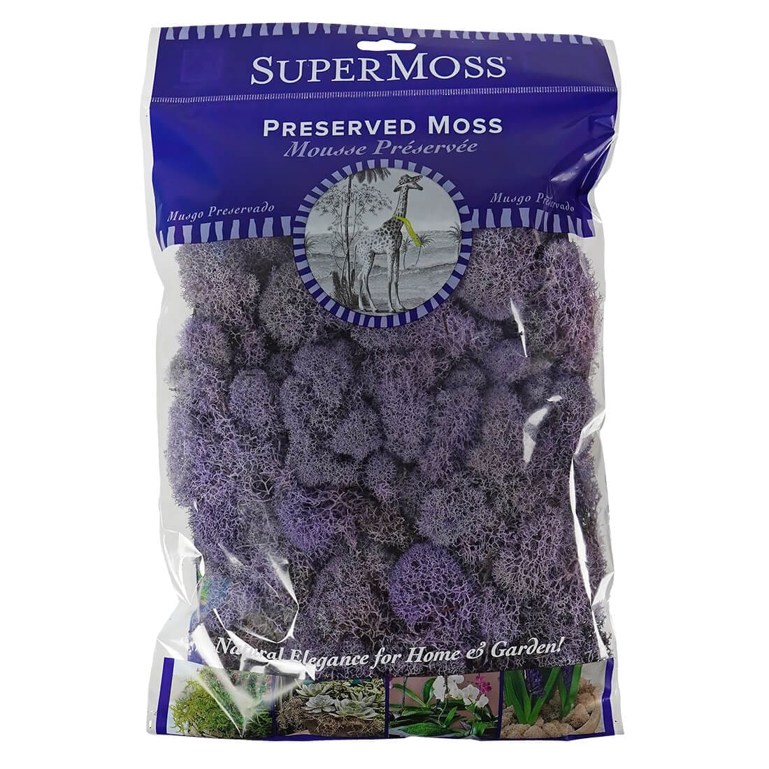 Lavender Preserved Reindeer Moss