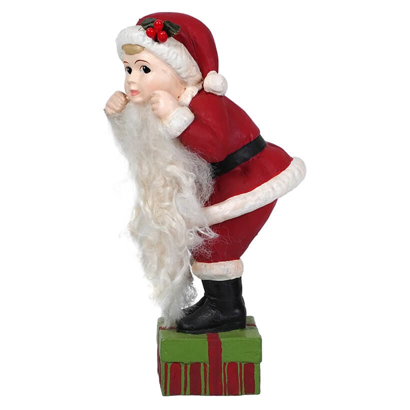 Leo's Santa Dress Up