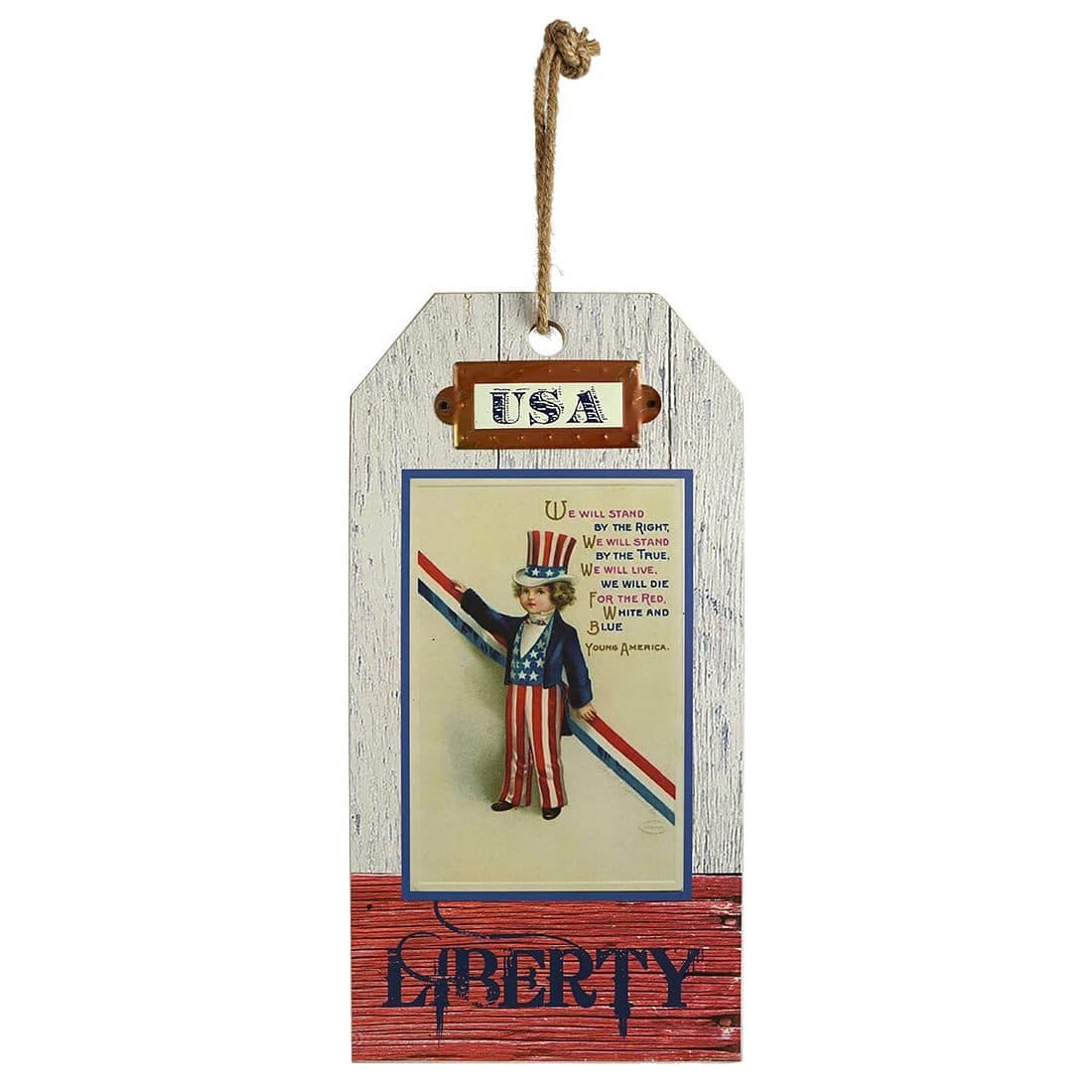 Liberty USA Wall Art