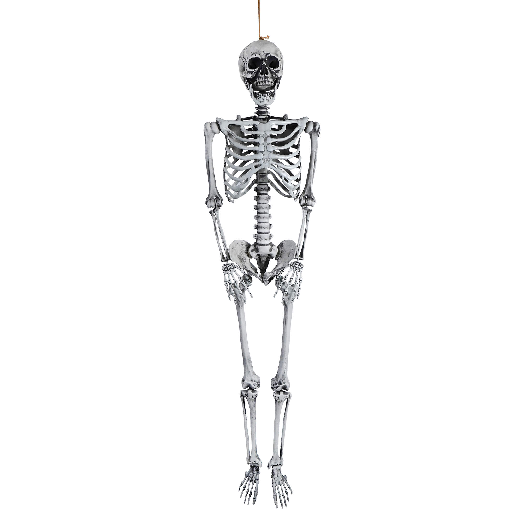 Silver plastic skeleton hanging ornament perfect for life sized skeleton halloween decoration