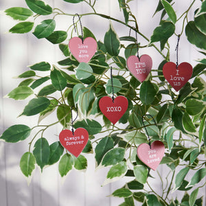 Love you more ornaments set 6 pink and red heart tags with white text design hanging on black hanger display by annie schickel