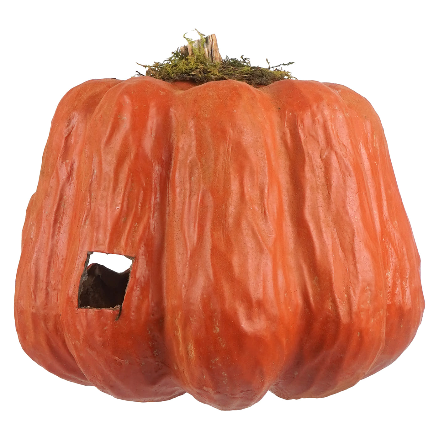 Menacing orange pumpkin jack-o-lantern lantern with textured surface and mossy stem perfect for halloween pumpkins and gourds