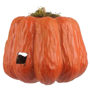 Menacing orange pumpkin jack-o-lantern lantern with textured surface and mossy stem perfect for halloween pumpkins and gourds