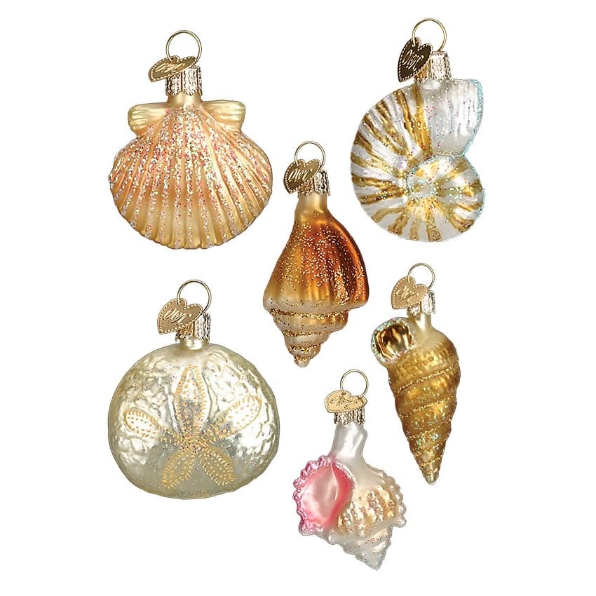 Mini Seashell Ornament Collection Set/6