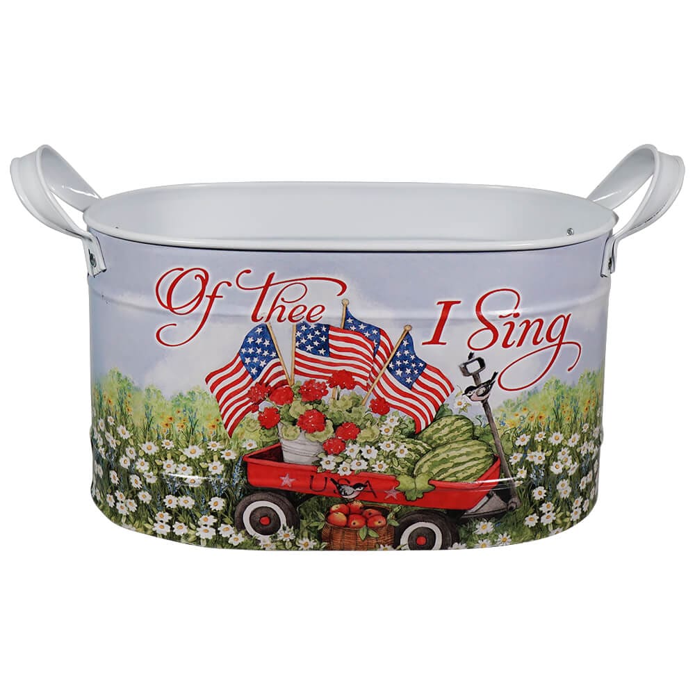 Nesting Galvanized Metal Americana Buckets Set/3