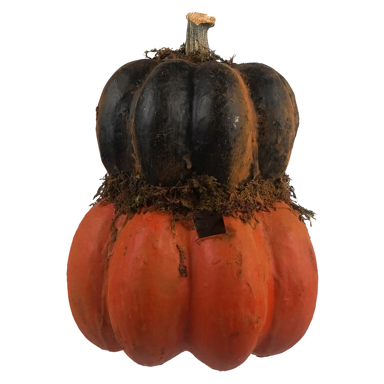 Orange and black two layered carved pumpkin jackolantern with textured stem and mossy trim halloween pumpkins and gourds