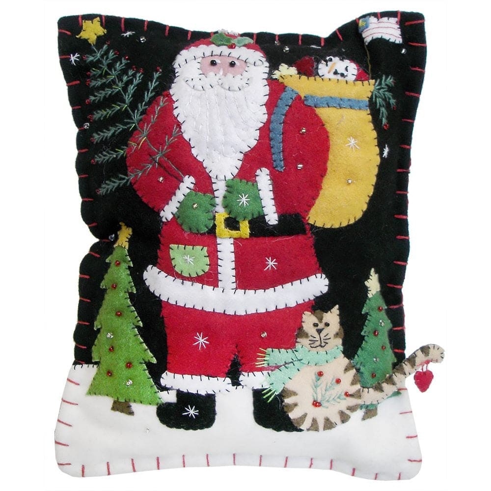 Patriotic Santa With Cat Pillow