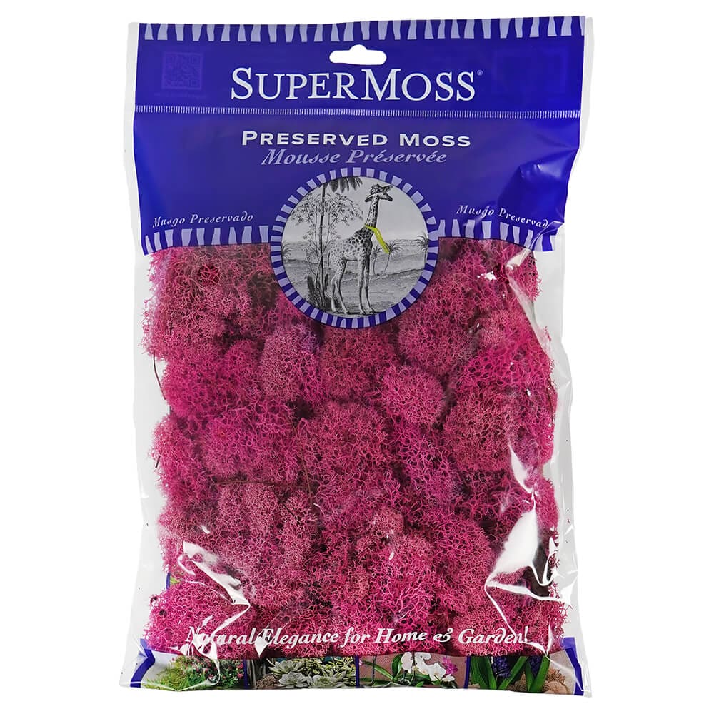 Pink Preserved Reindeer Moss