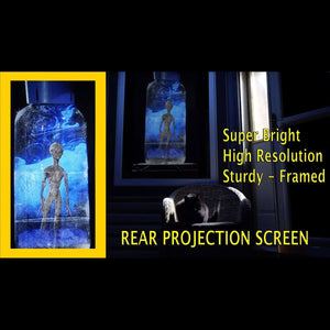 Pro Rear Projection Screen