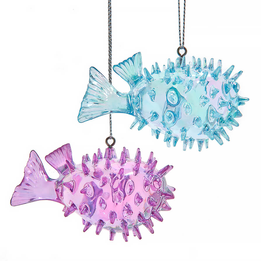 Two translucent glass pufferfish ornaments in light blue and pink with detailed spines for sea and beach themed decor
