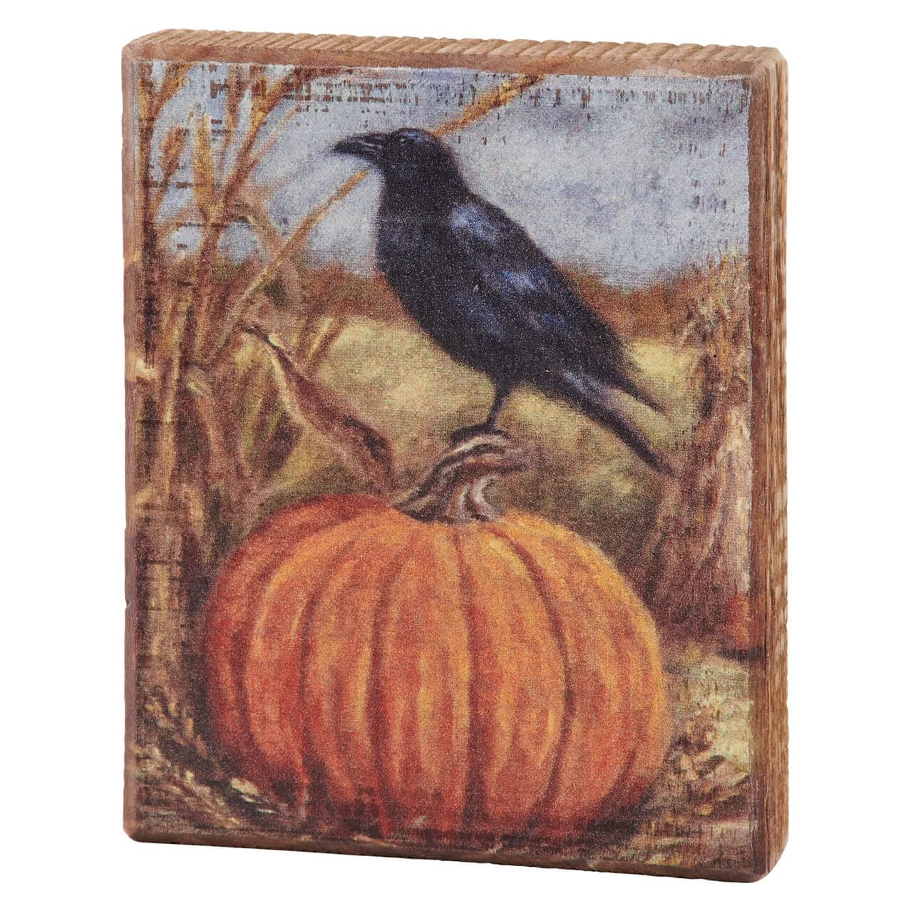 Black crow perched atop an orange pumpkin in an autumn scene.