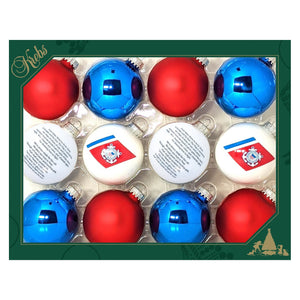 Boxed set of twelve red white and blue coast guard variety ball ornaments perfect patriotic ornaments collection