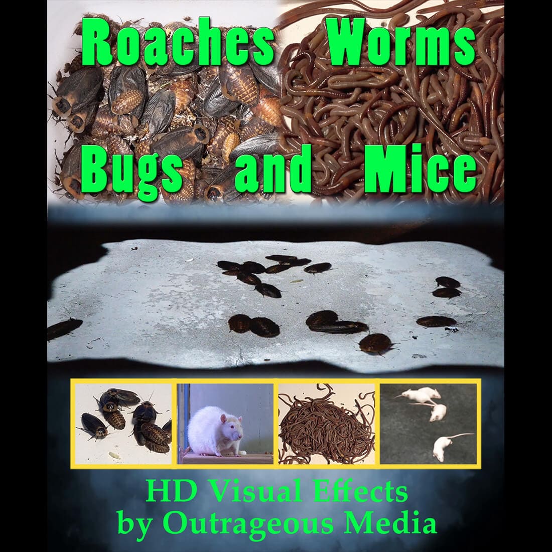 Roaches, Worms, Bugs & Mice Projection USB