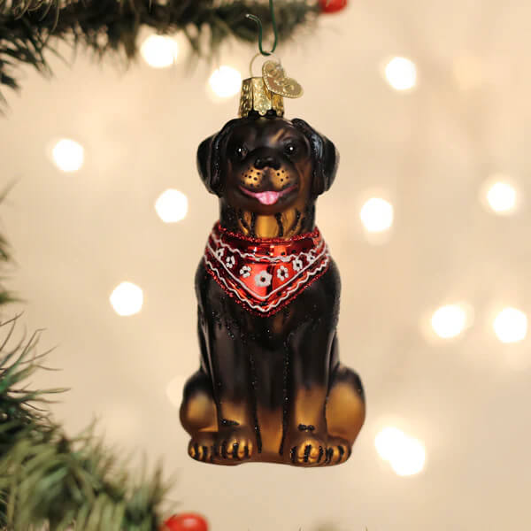 A glossy black and tan rottweiler ornament dog ornament with a red bandana hanging from a gold hook