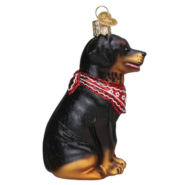 Glossy black and tan rottweiler ornament with red patterned bandana and gold tipped ears perfect dog ornament