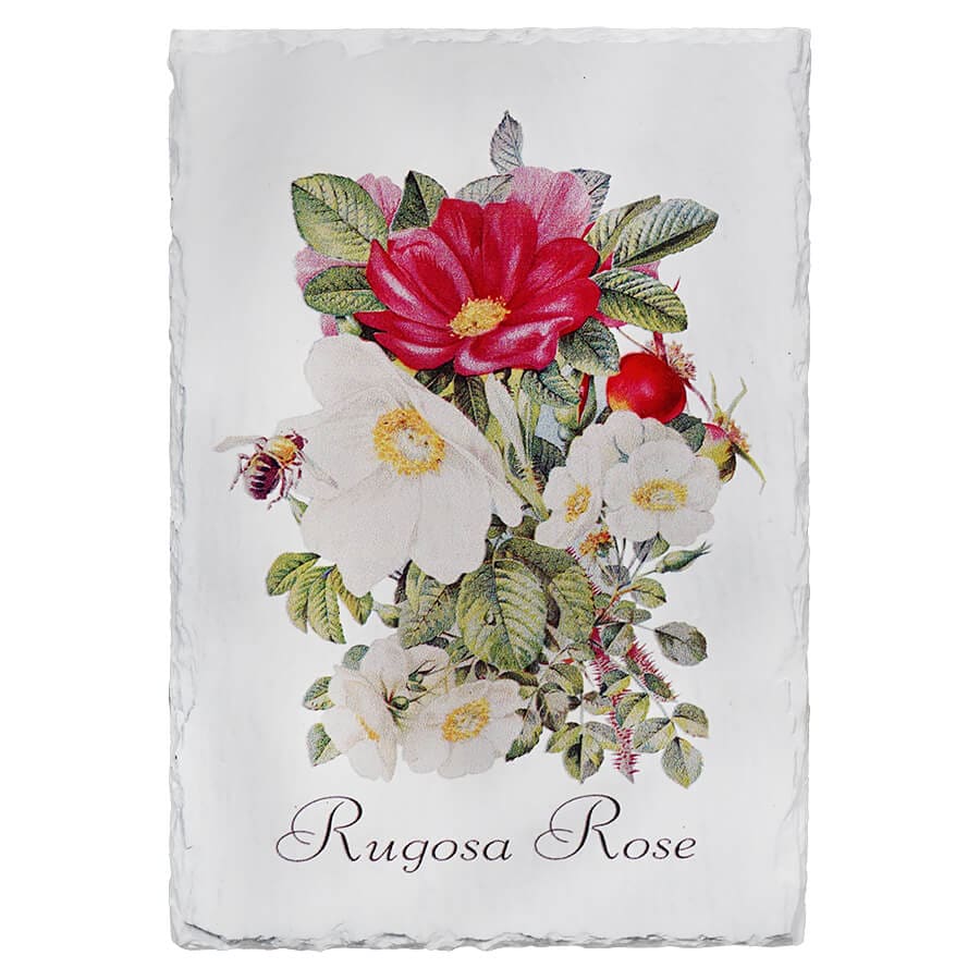 Rugosa Rose Floral Slate Wall Art