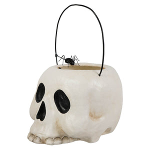 Small grim bucket white skull-shaped halloween bucket with black eye sockets and spider perfect for skeleton decor figures and ornaments
