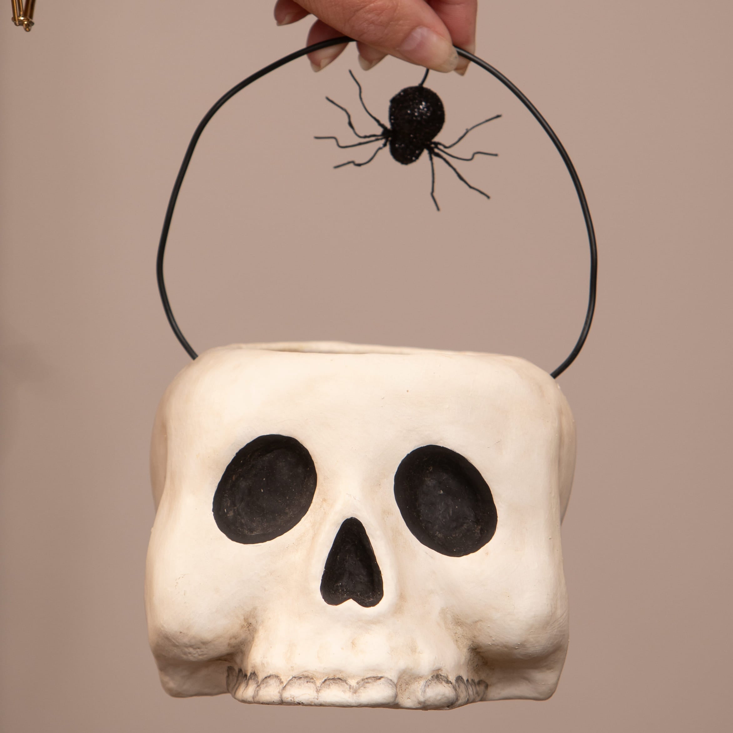 Small grim bucket halloween bucket with white skull shape black wire handle and spider skeleton decor figure