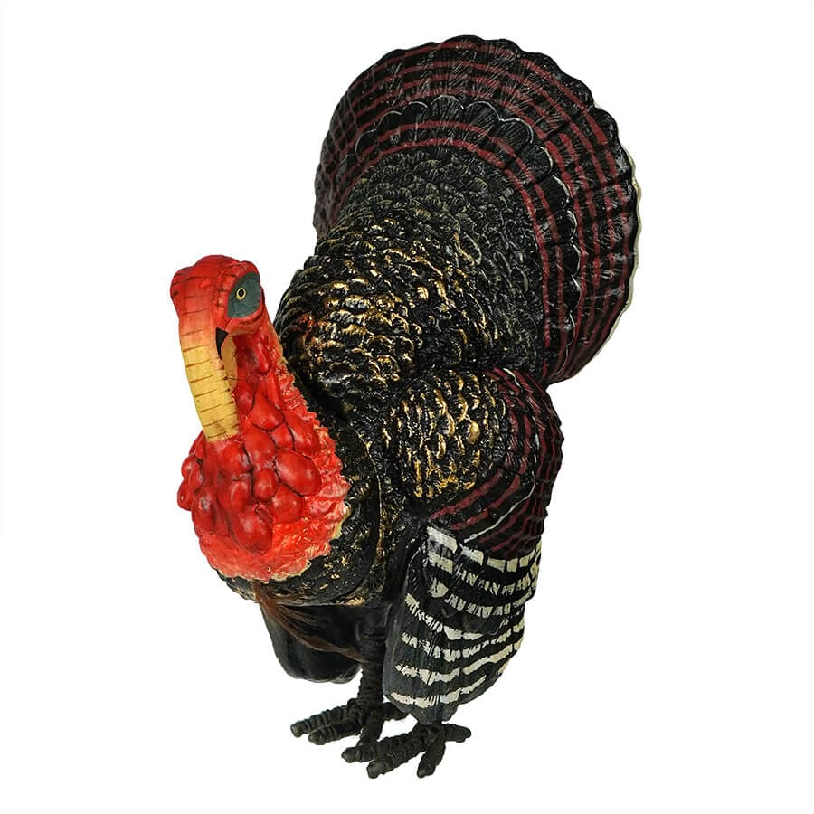 Small Tom Turkey