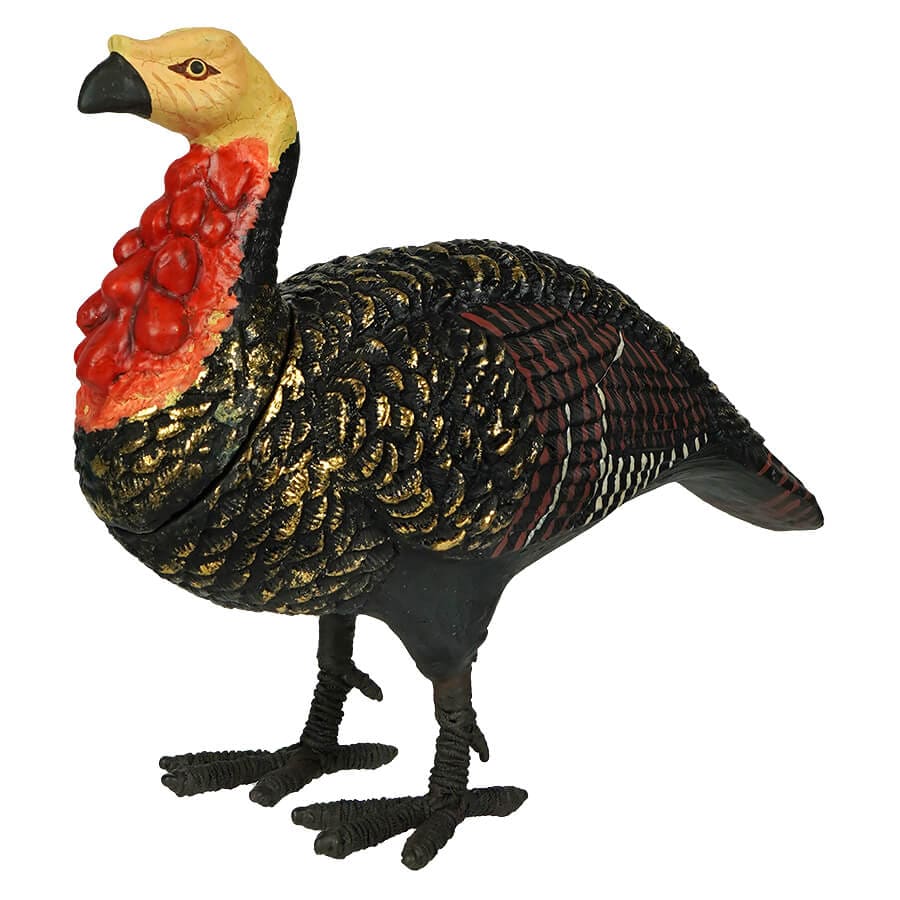 Small Turkey Hen