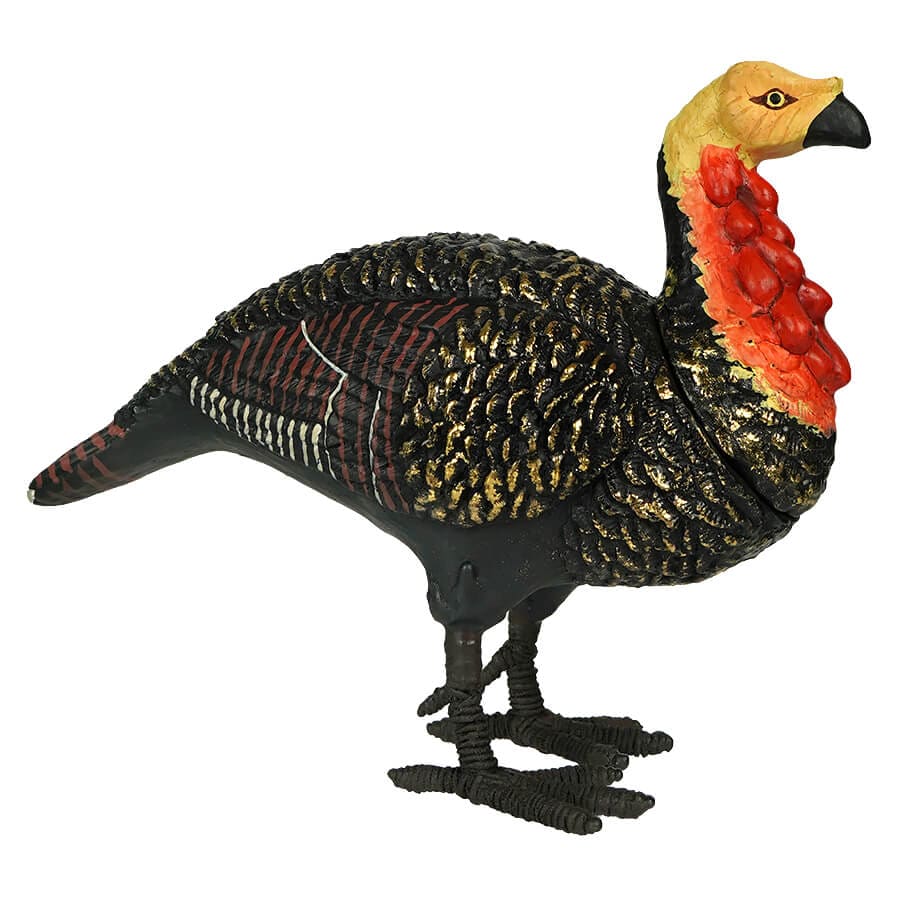 Small Turkey Hen