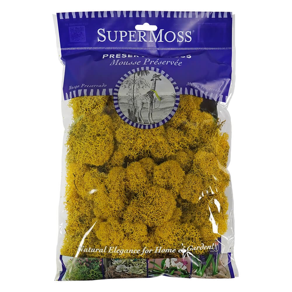 Sunflower Preserved Reindeer Moss