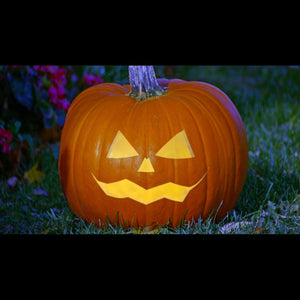 Talking & Singing Jack O' Lantern USB