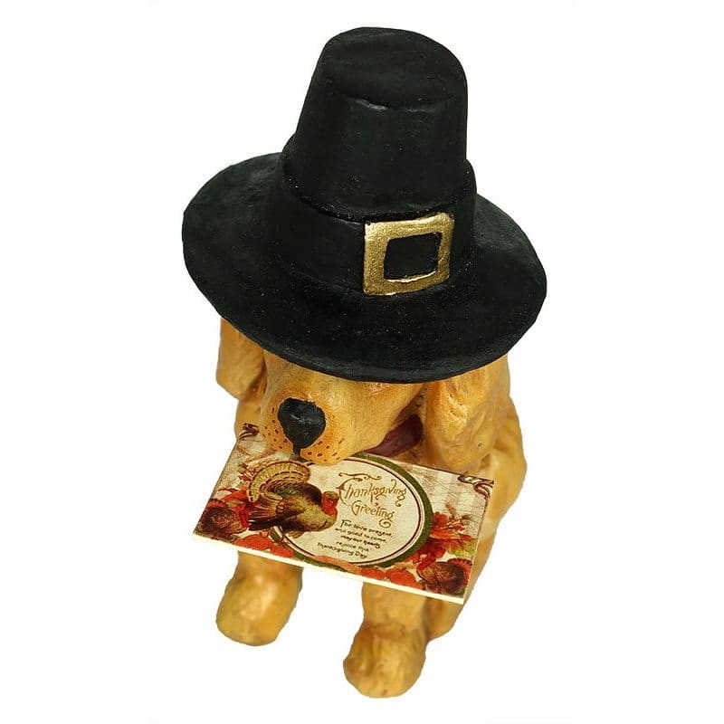 Thanksgiving Pilgrim Dog