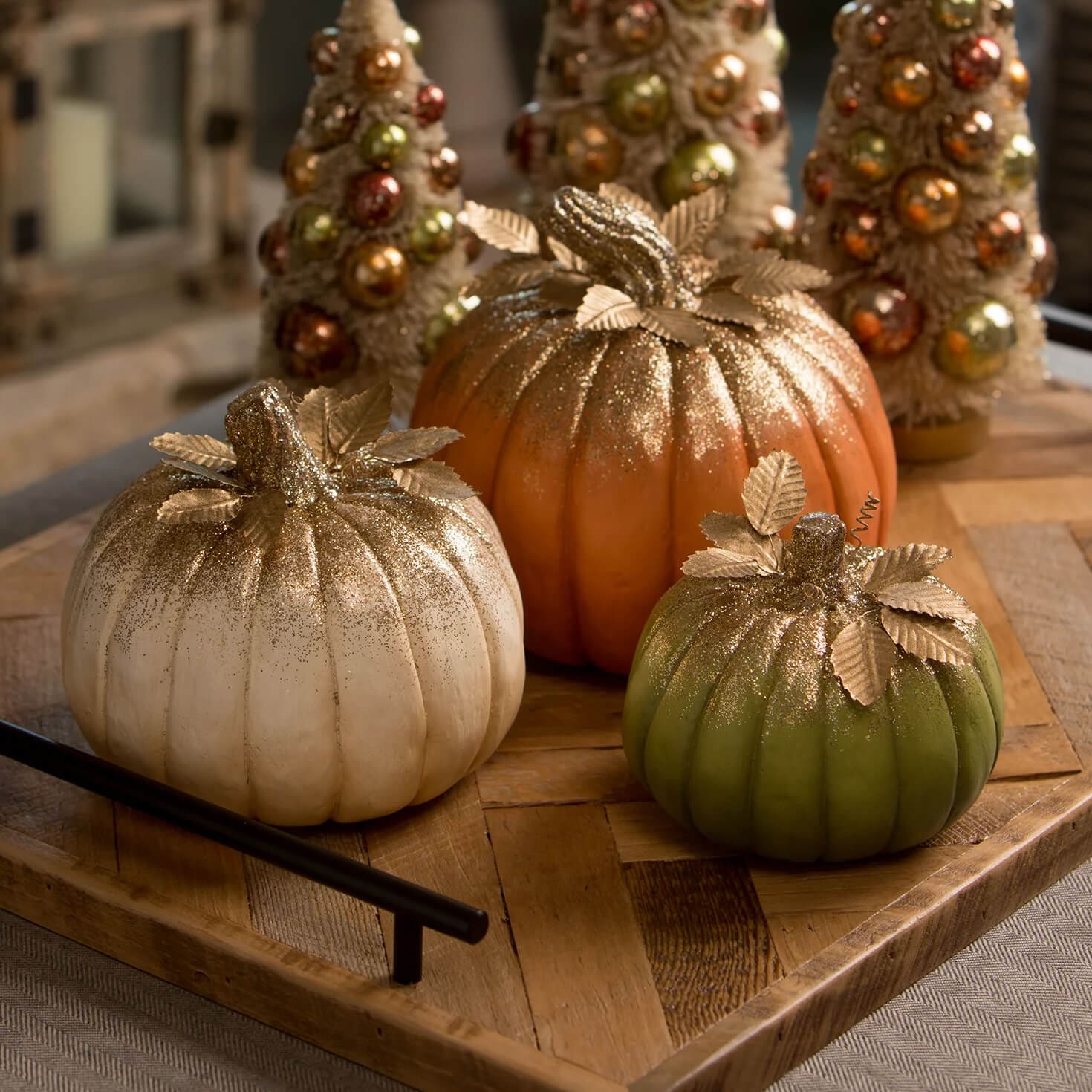 Traditional Orange Pumpkin - Thanksgiving