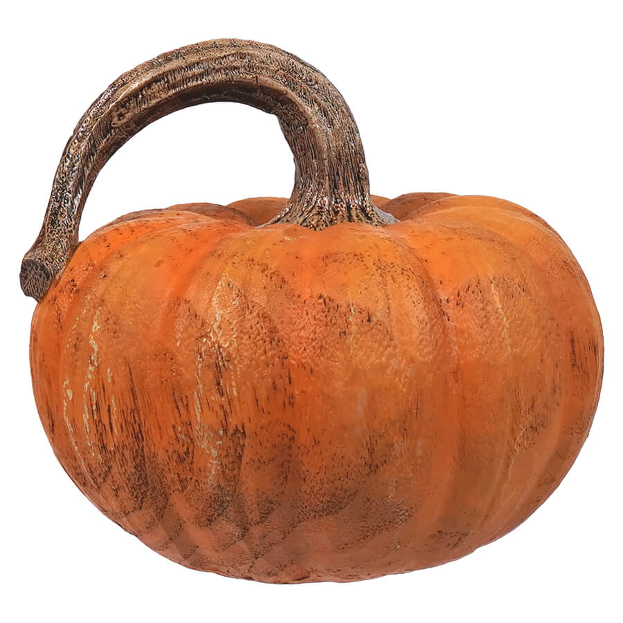 Orange pumpkin with a curved brown stem.