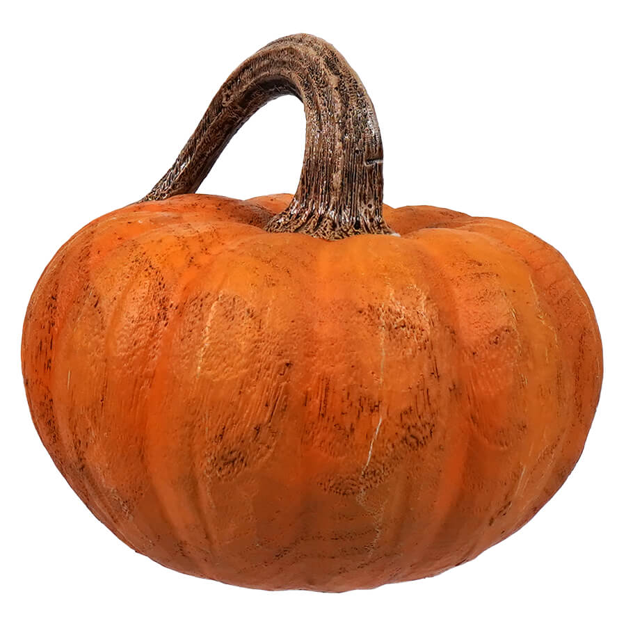 Orange pumpkin with a curved brown stem.