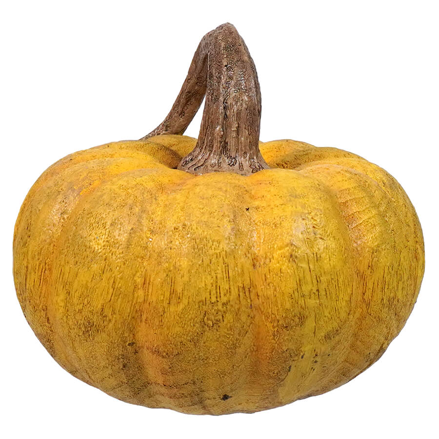 Yellow pumpkin with a brown stem.