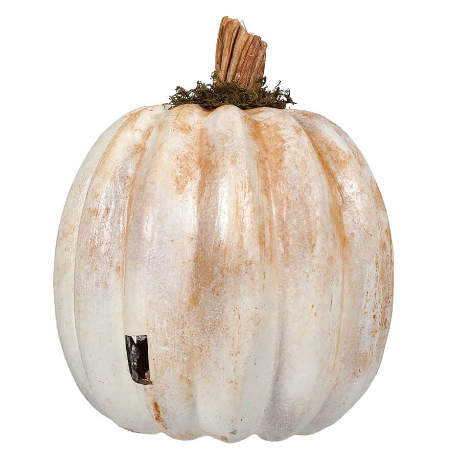 White Ghost Faced Pumpkin