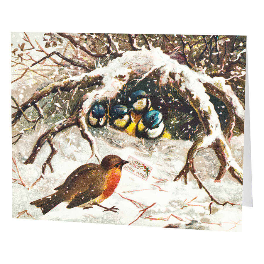 A group of colorful birds huddled together in a snow-covered tree hollow, with a robin perched nearby.