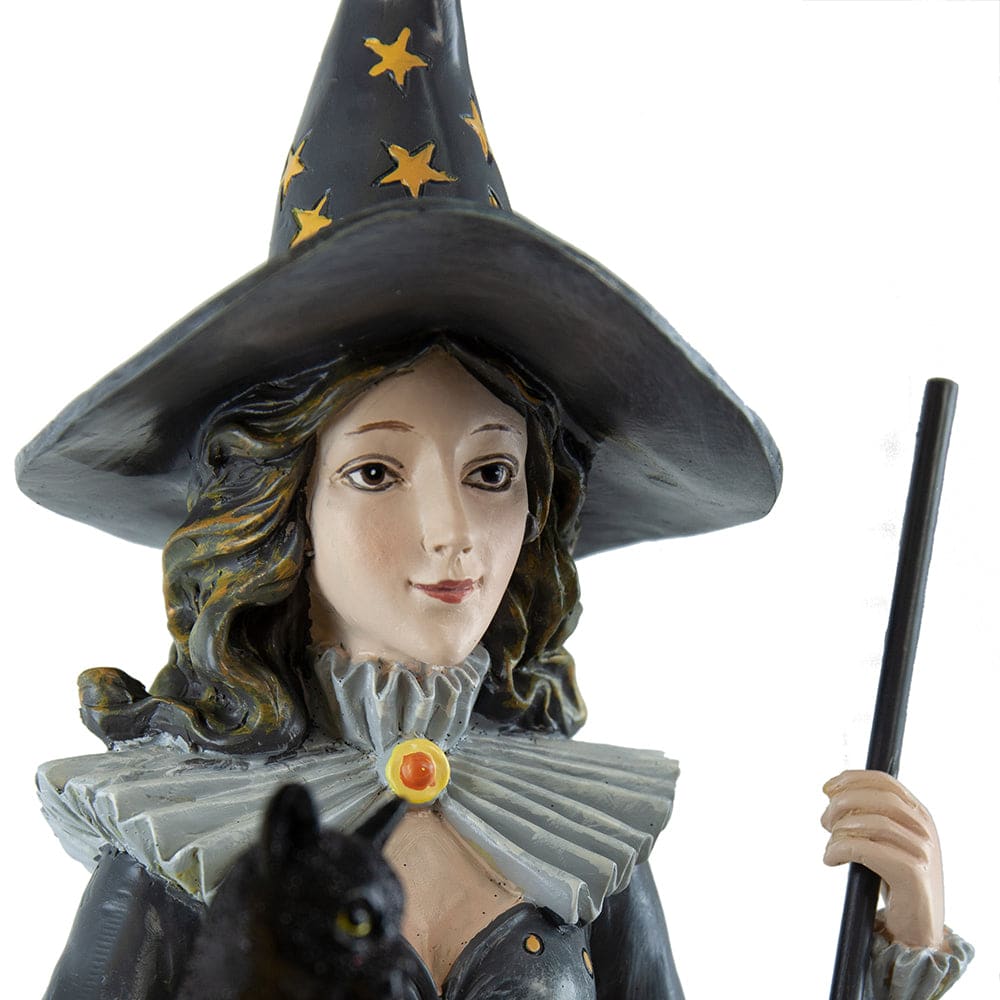 Witch Sitting Upon Crescent Moon Holding Black Cat - Halloween