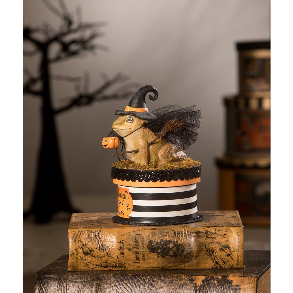 Witchy Toad On Box