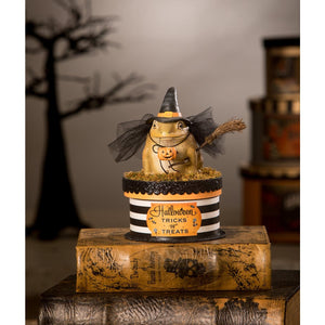 Witchy Toad On Box