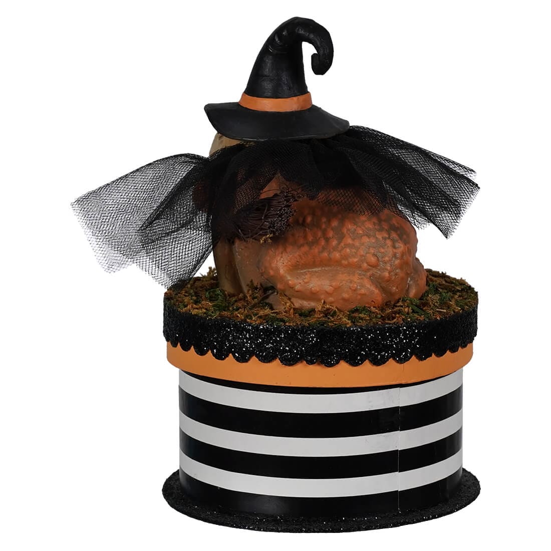 Witchy Toad On Box - Halloween