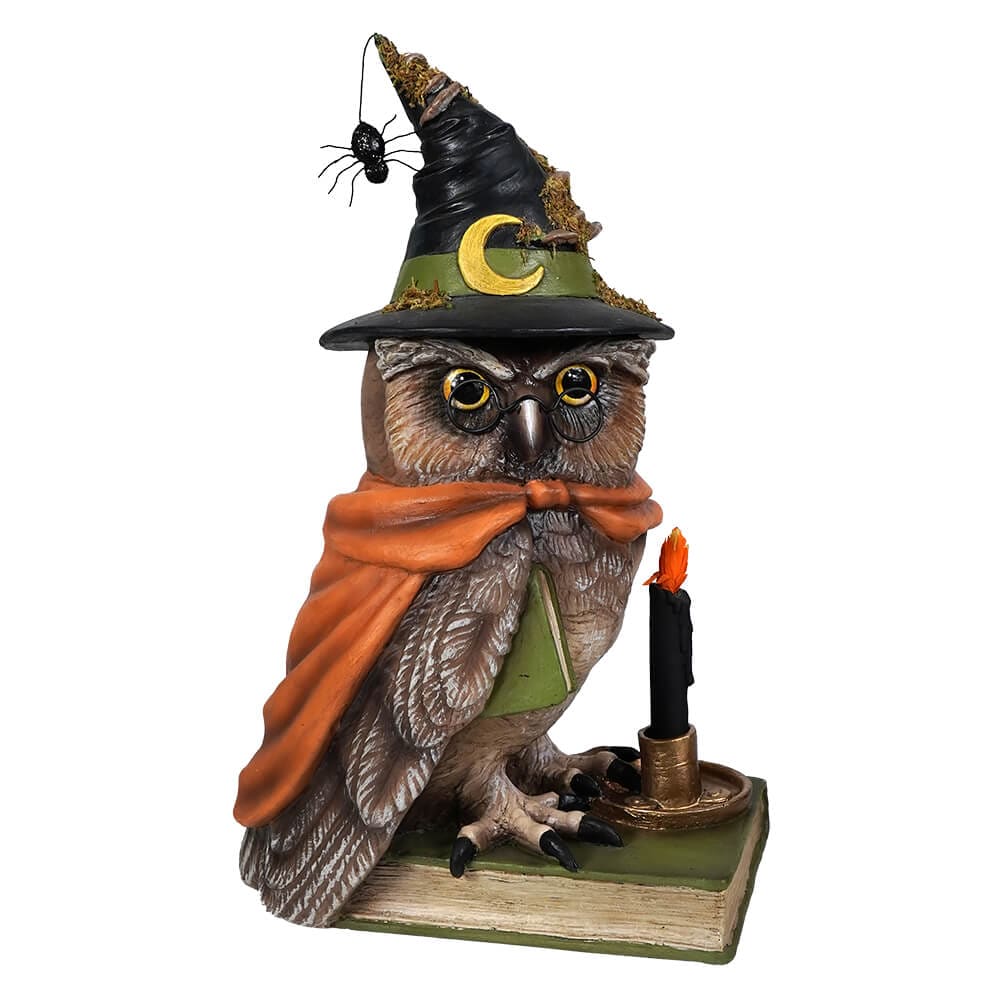 Woodsy Wizard Owl - Ornaments