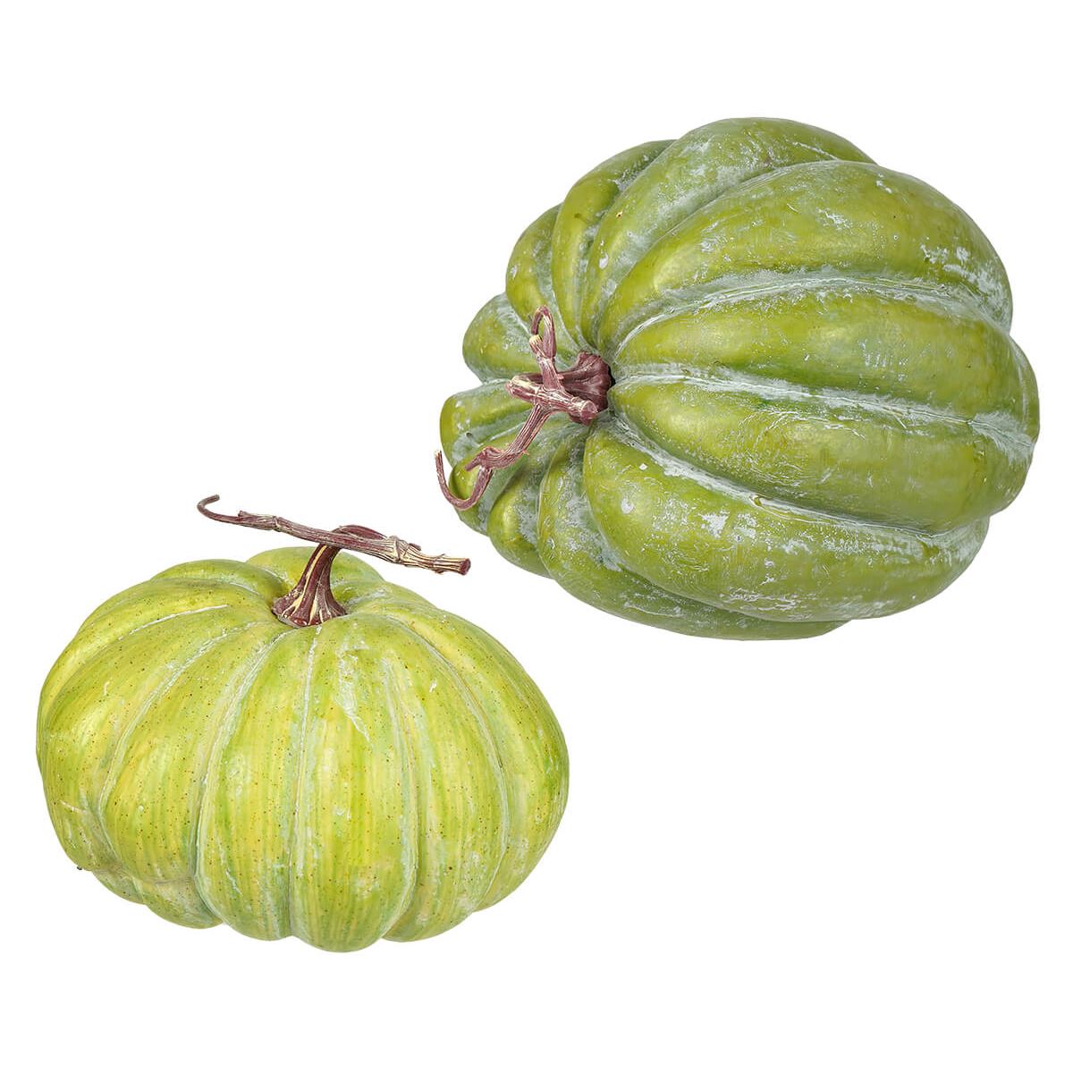Green Heirloom Pumpkins with Stem Set/2