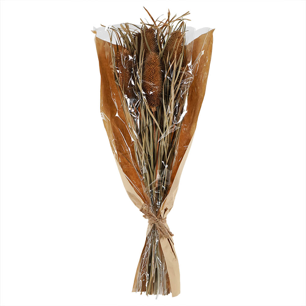 Dried Banksia Bunch Stem