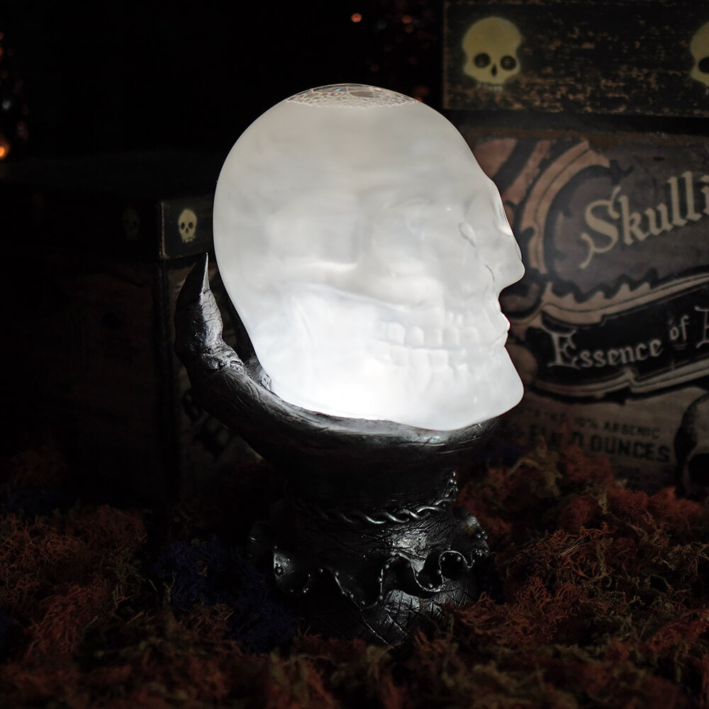 Lighted Smokey Skull Waterglobe