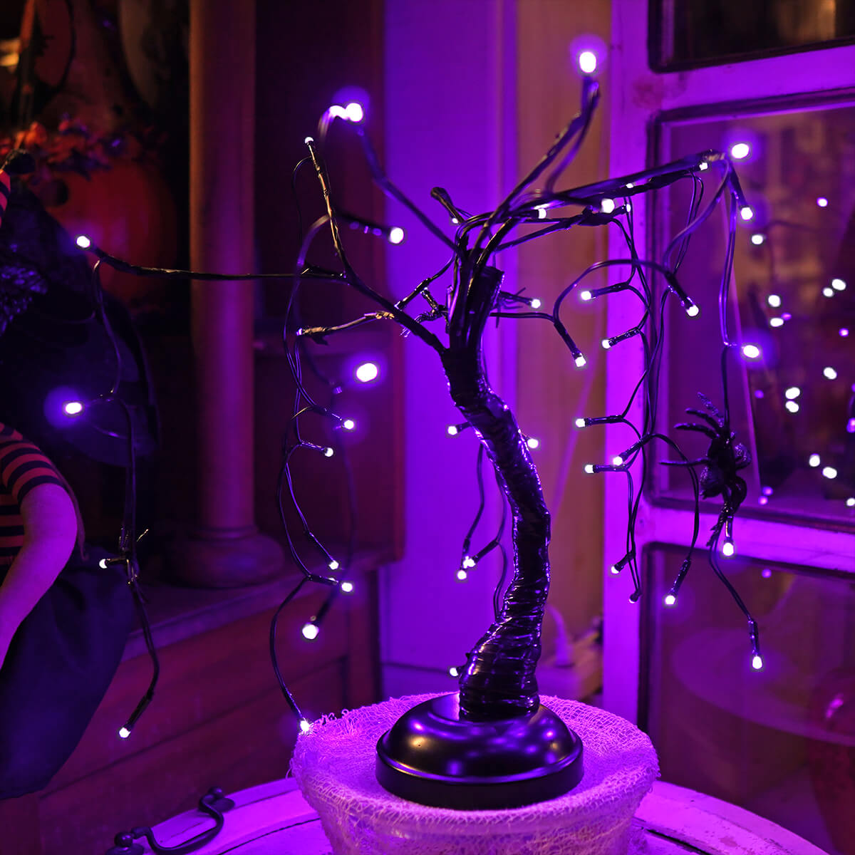 Black Spider Tree With 48 Purple LED Lights