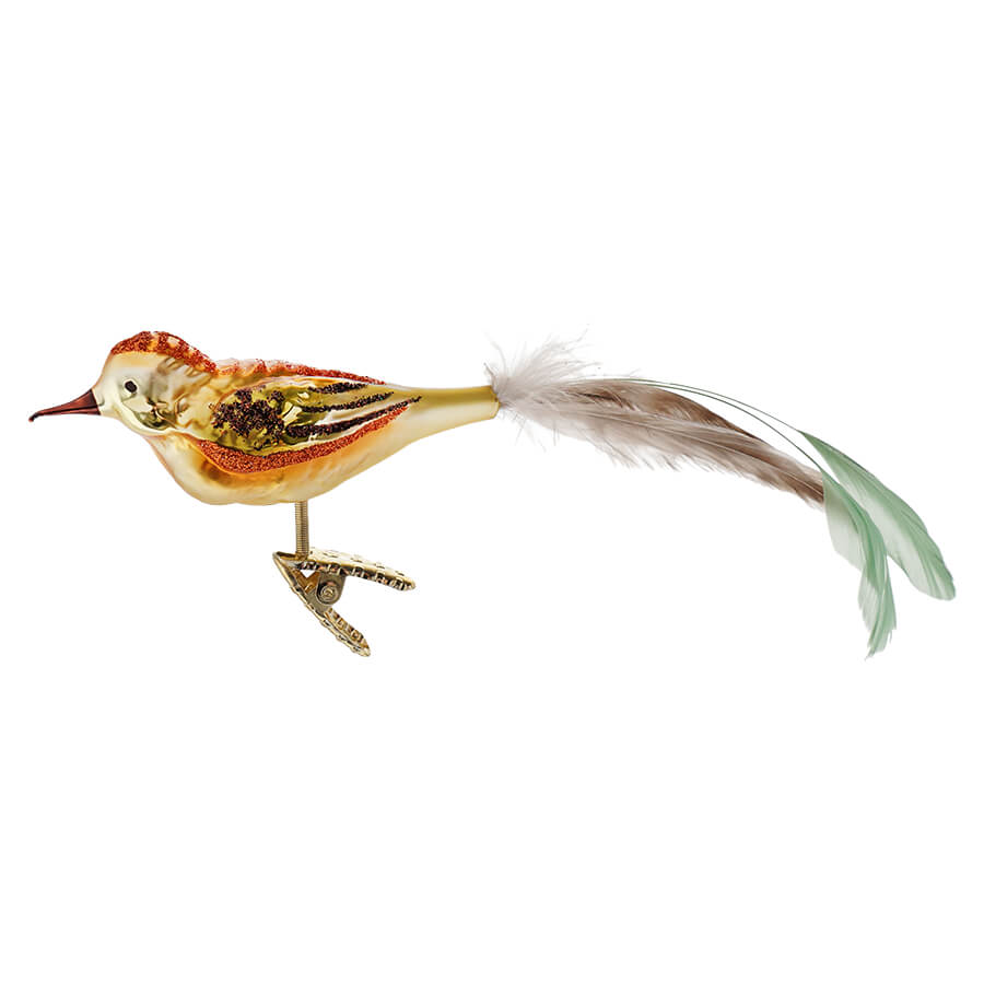Orange & Green Feathered Ira Bird Ornament